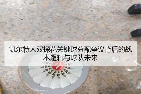 凯尔特人双探花关键球分配争议背后的战术逻辑与球队未来