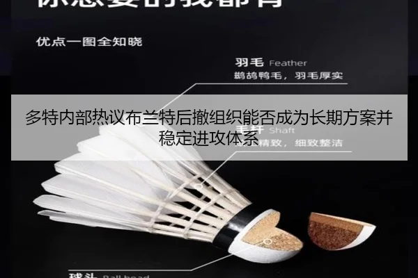 多特内部热议布兰特后撤组织能否成为长期方案并稳定进攻体系